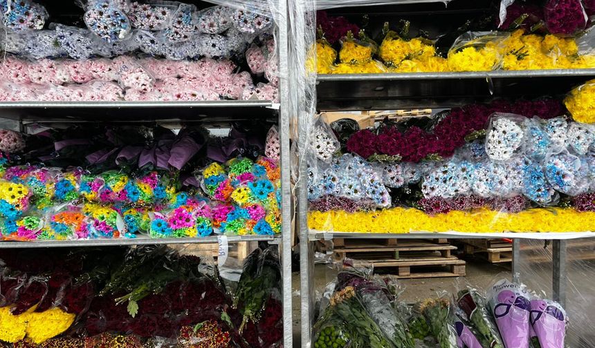 Sevgililer Günü için Hollanda'dan çiçek getirttiler!