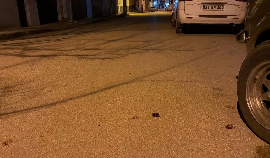 Tartıştıkları genci bıçakladılar