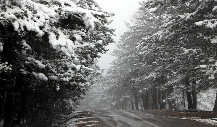 Abant, beyaz örtüye büründü!