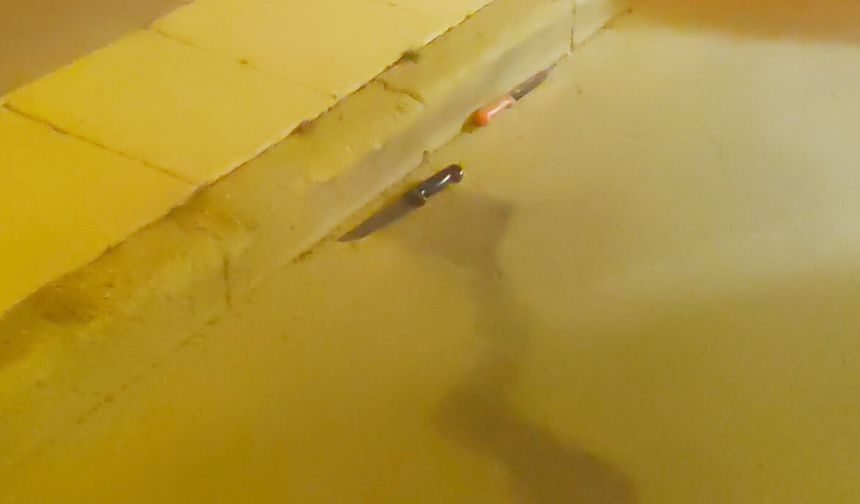 Akranı tarafından bıçaklanarak öldürüldü!