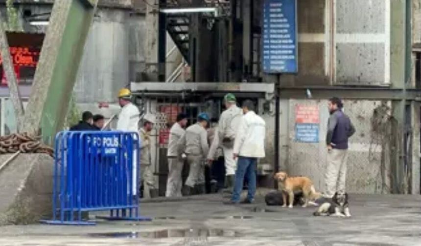 Amasra maden faciası davasında istinaf kararı