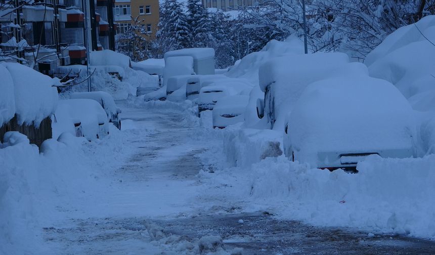 Bitlis kara gömüldü