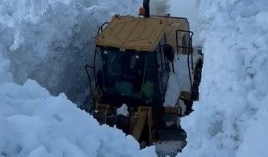 Bitlis'te köy yoluna çığ düştü: Yol kapandı
