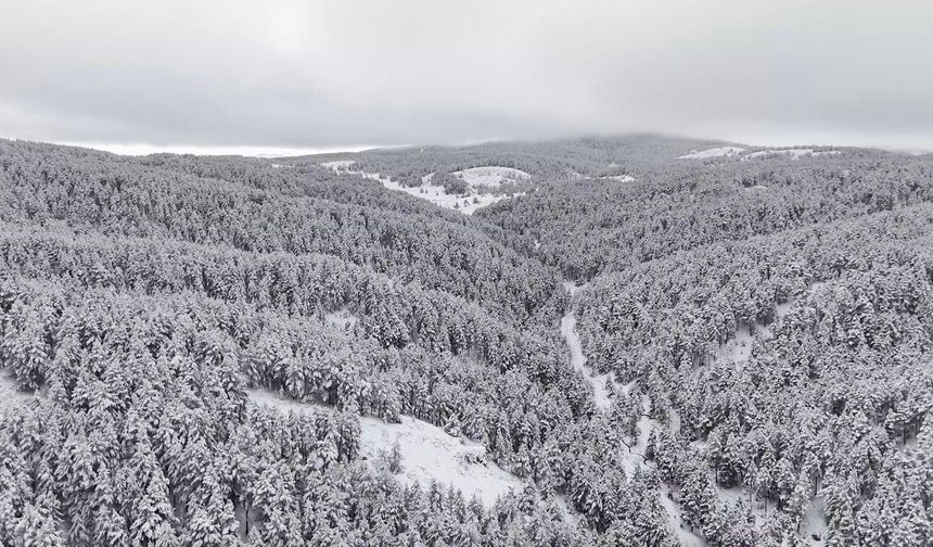 Dumanlı Tabiat Parkı Beyaza Büründü: Kar Kalınlığı 1 Metreyi Aştı