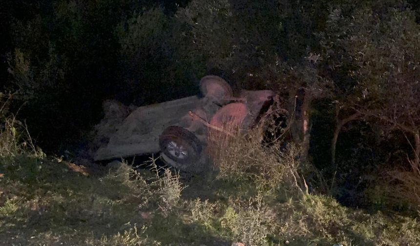 İznik’te Alkollü Sürücü Kaza Yaptı: Ehliyetine El Konuldu