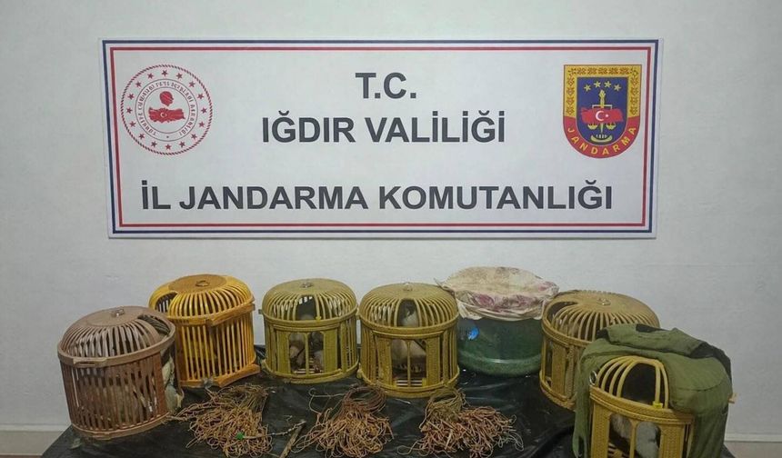 Kaçak keklik avına jandarma baskını: 175 bin lira ceza