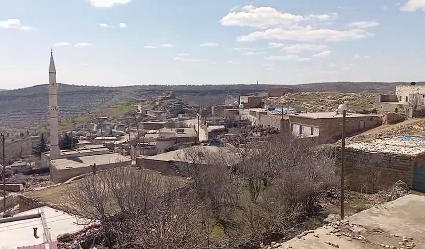 Mardin’de kuduz şüphesi: Mahalle karantinaya alındı