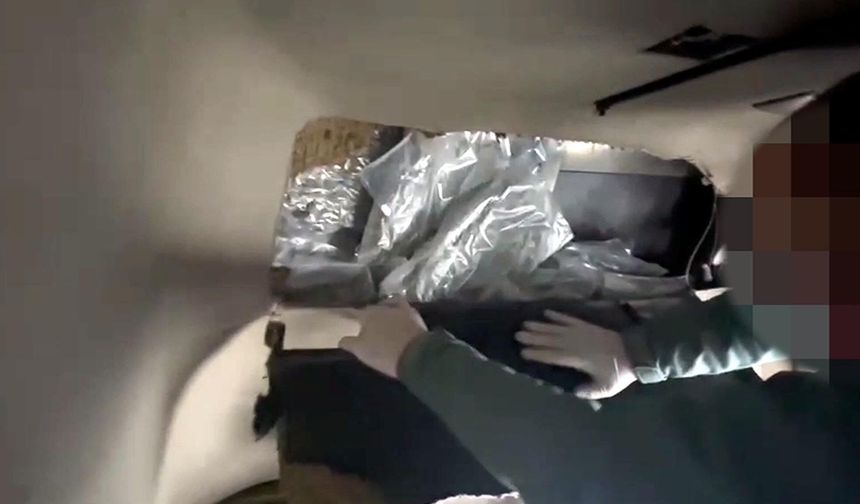 TIR'da 53 kilo skunk bulundu!