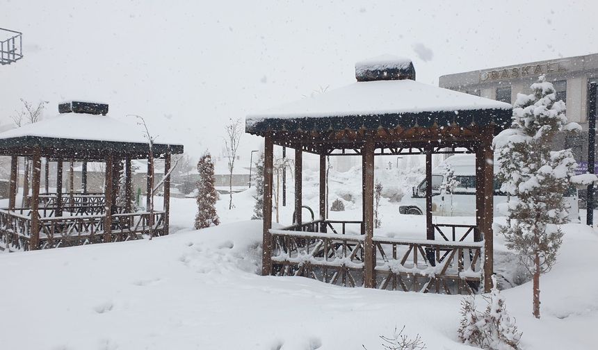 Van'da 34 yerleşim yeri kardan kapandı