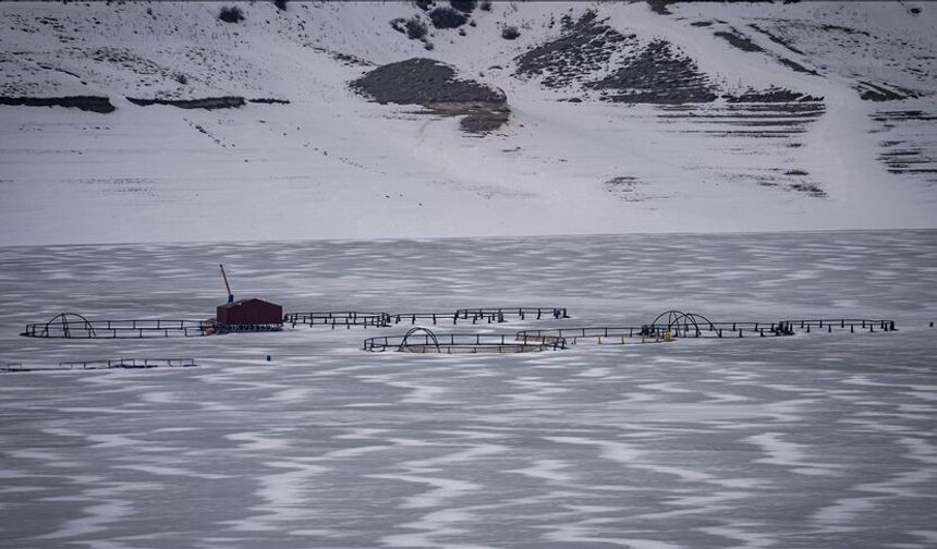 Erzurum’da Dondurucu Soğuk: Demirdöven Barajı Buz Tuttu
