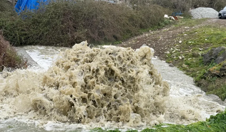 Gölet bir gecede yok oldu: Sular yer altına çekildi