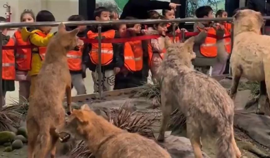 Miniklerden Büyük Keşif: Bakımevi Çocukları Doğa Tarihi Müzesi’nde