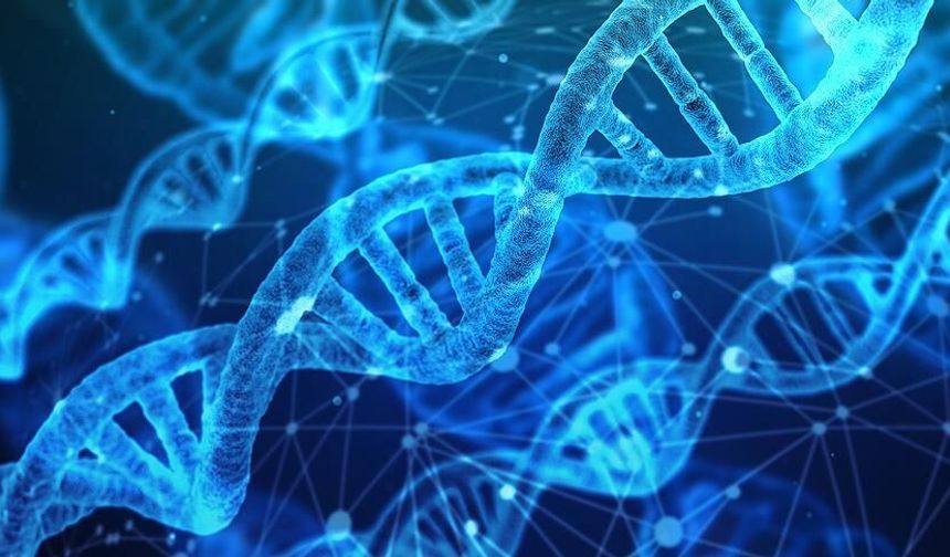 İnsanlar 200 yıl yaşayabilir