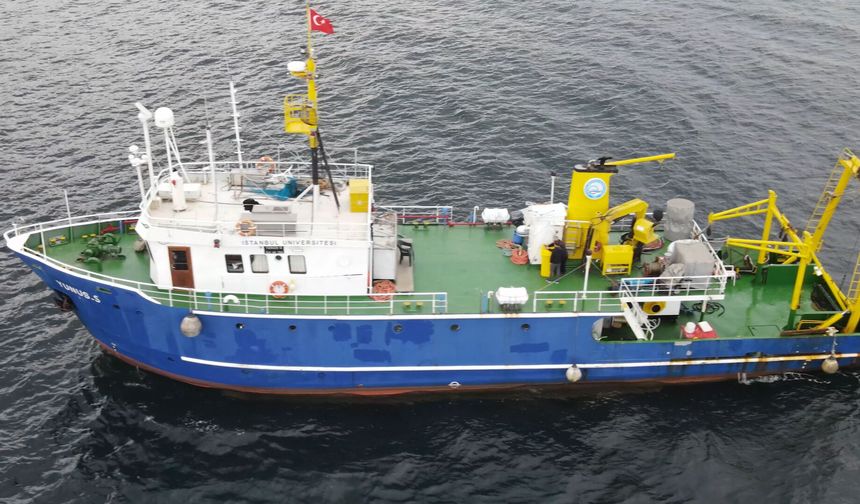 Marmara Denizi’nde Mercan Restorasyonu Başladı