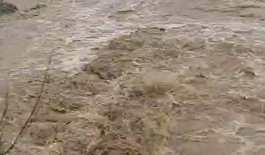 Aydın’da sağanak etkili oldu: Duvar çöktü, evleri su bastı