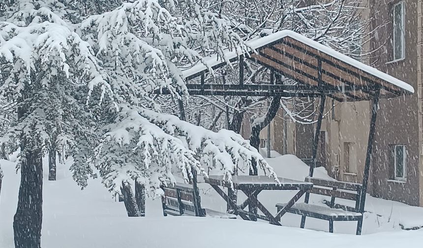Bitlis’te Nisan Sürprizi: Yağmur Yerini Kara Bıraktı