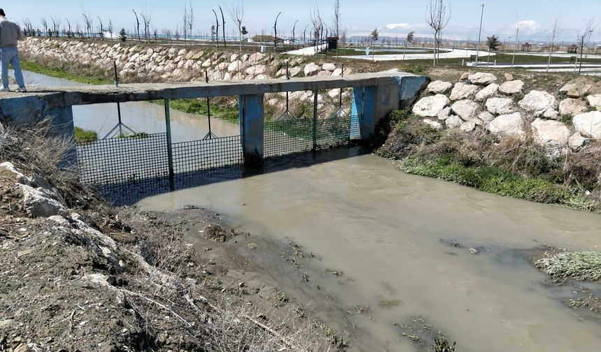 İnci Kefali Göçü Öncesi Seferberlik: 2 Ton Atık Toplandı