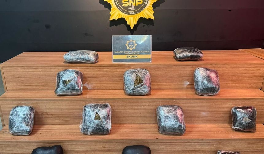 Şanlıurfa'da 8 kilo skunk ele geçirildi