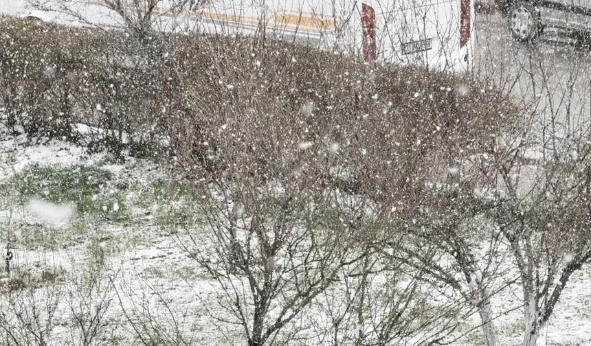 Sivas'ta kar yağışı