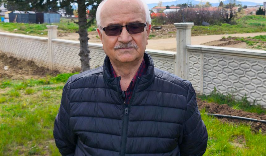 Trakya’da kanola tarlaları sarıya büründü: Ekiliş alanı 2-3 kat arttı  SPOT