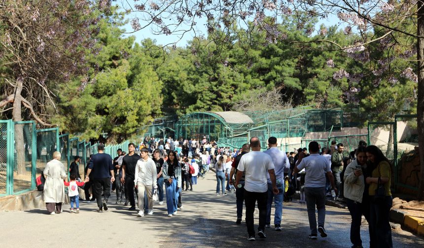 Türkiye'de doğan ilk zürafanın ismi ne olacak?