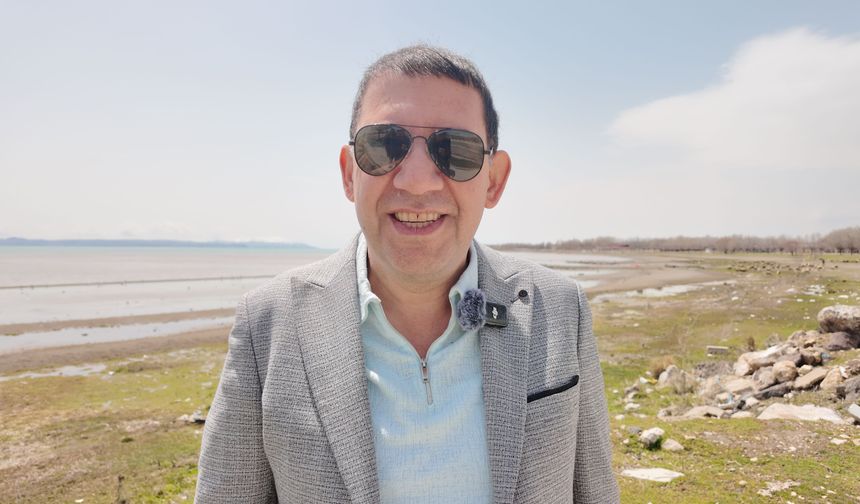 Van Gölü kıyılarında suyun rengi kahverengiye döndü