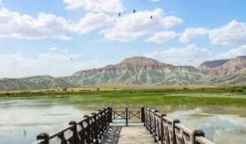 Nallıhan Kuş Cenneti göçmen kuşlarla şenlendi