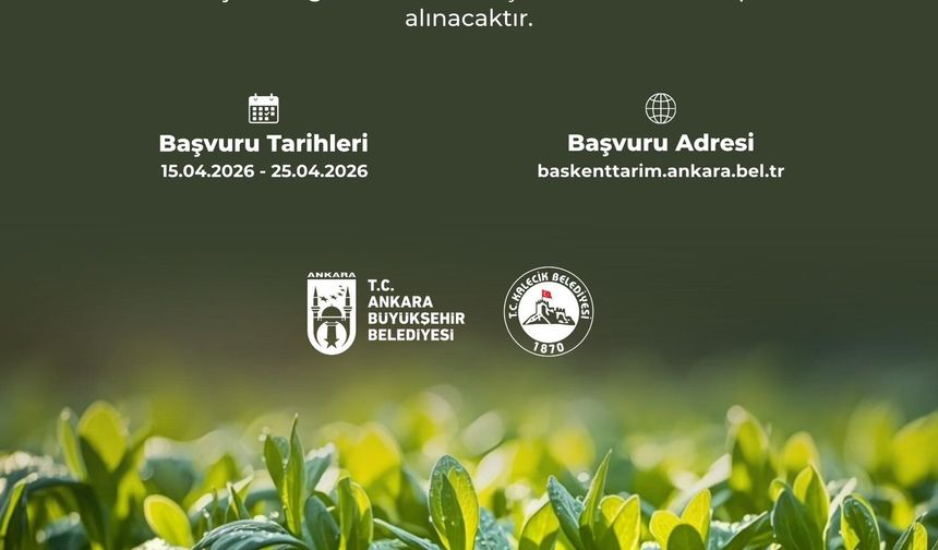 Kalecik’te üreticiye can suyu: Sebze fidesi desteği başladı