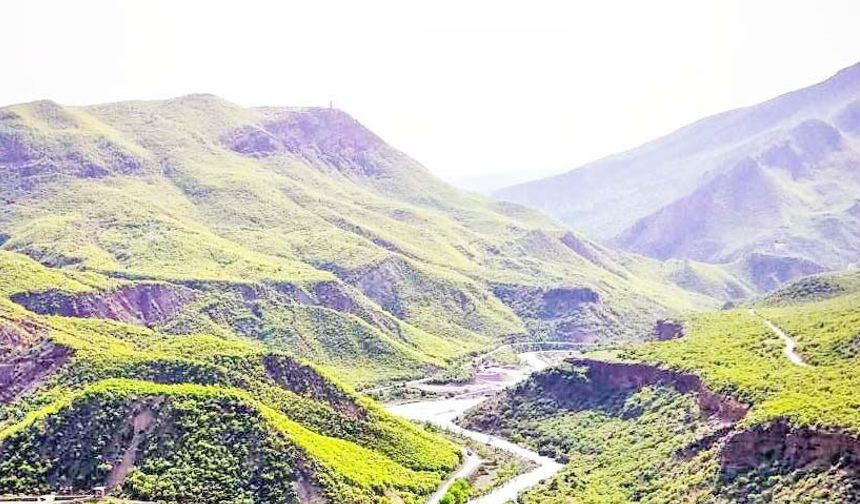 Pülümür’de hayvancılık ve arıcılık tehdit altında