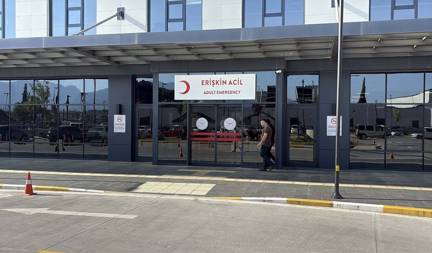 Aydın'da kurban kesimi sırasında 277 kişi yaralandı