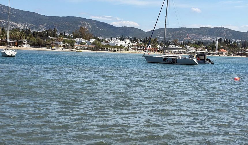 Bodrum’da Deniz Çayırları Alarm Veriyor: 20 Yılda Binlerce Hektar Kayıp