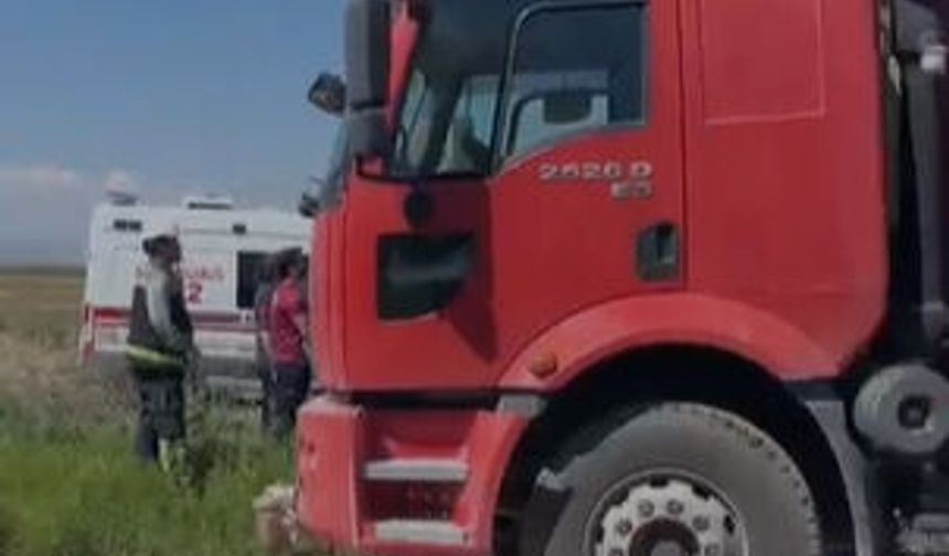 Elektrik direğinde akıma kapılıp mahsur kaldı