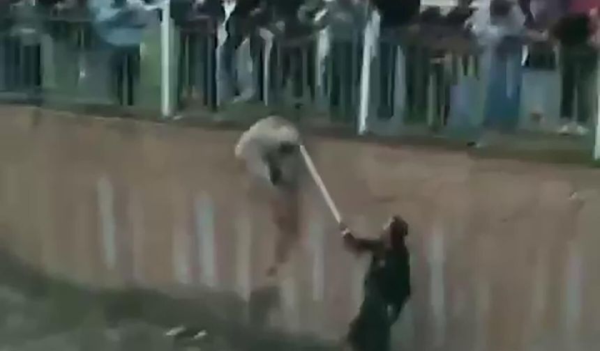 Muş’ta Çayda Mahsur Kalan Köpek Kurtarıldı
