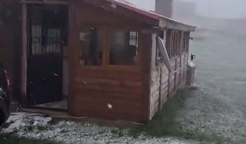 Ordu mayıs ayında kar gördü