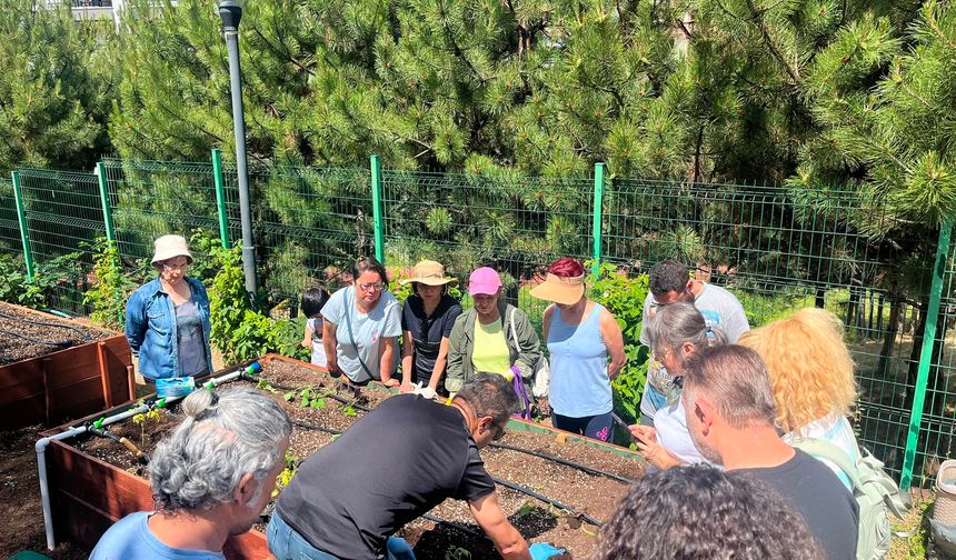 Çankaya’nın Kent Bostanlarında Atalık Fideler Toprakla Buluştu