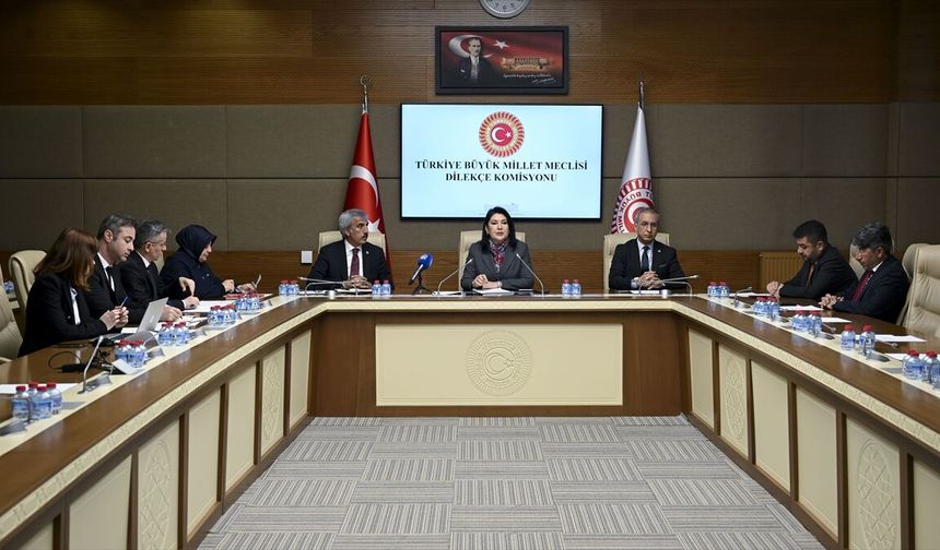 Meclise 'kadınlar da askere alınsın' başvurusu