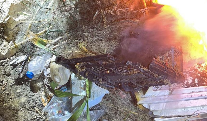 Kaçak avlanan 400 kilo inci kefali suya bırakıldı