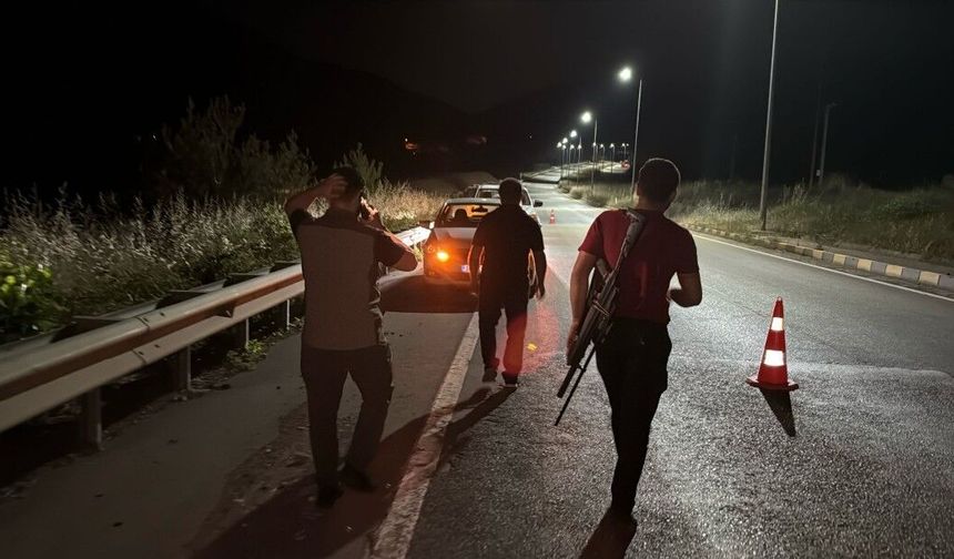Otomobilin çarptığı bozayı, kaçarken çaya düştü