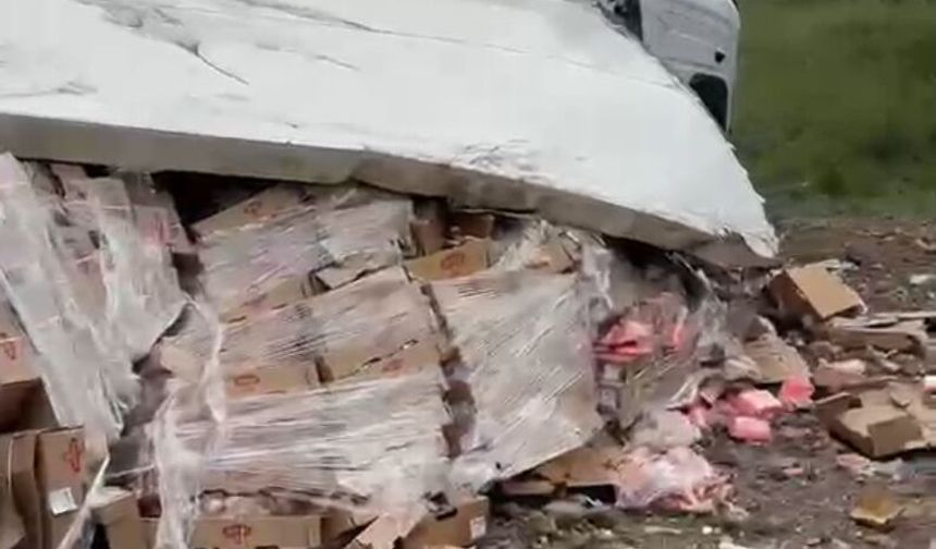 Tavuk eti yüklü TIR şarampole devrildi