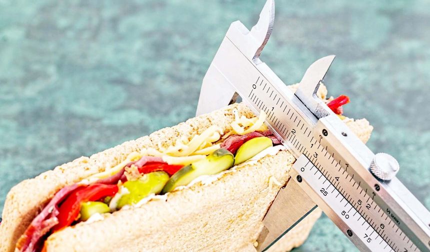 Obezite Türkiye’de sessiz bir krize dönüştü