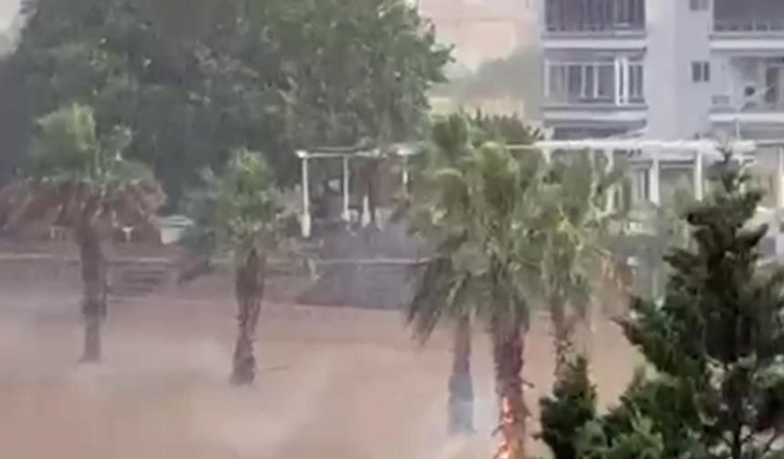 Ağaca yıldırım düştü