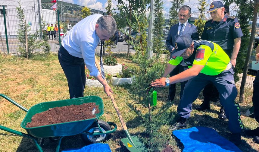 Bakan Çiftçi: Sahipsiz hayvanların yüzde 92,35’i barınaklara alındı