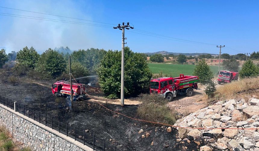 Çanakkale'de ot yangını