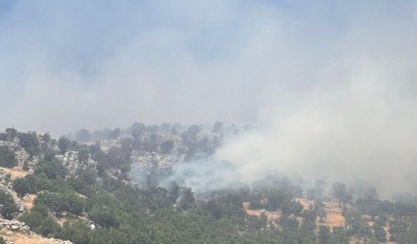Çüngüş'te Örtü Yangınına Ekiplerin Müdahalesi Devam Ediyor