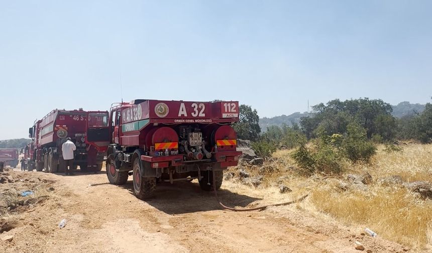 Gaziantep'te orman yangını
