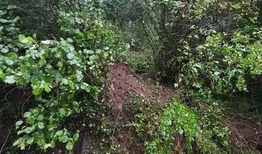 Giresun'da heyelanda kaya parçası eve isabet etti