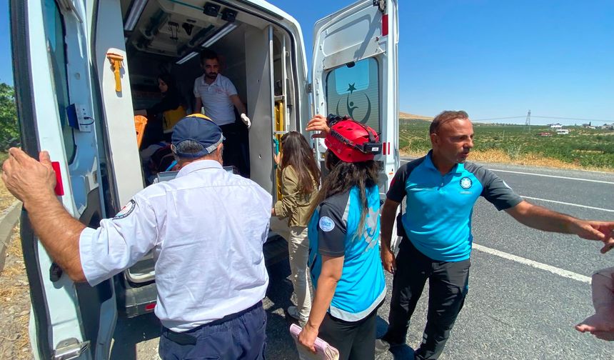 Şanlıurfa'da otomobil minibüse arkadan çarptı: 12 yaralı