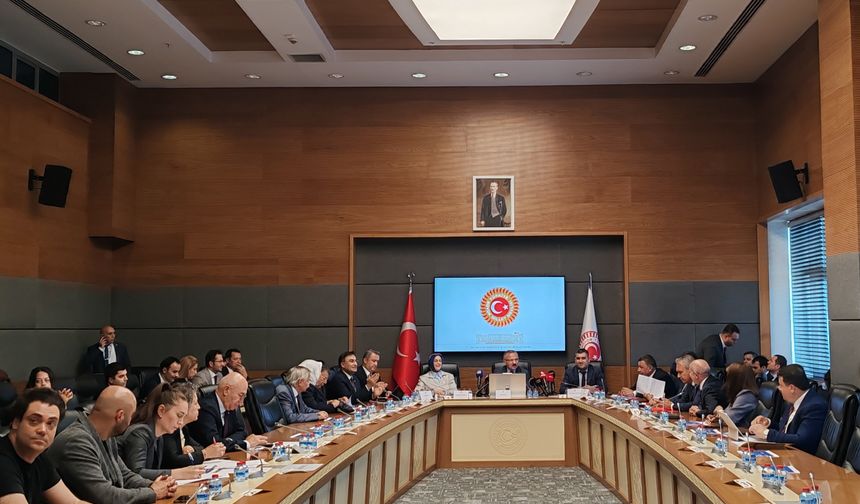 TBMM Komisyonunda Dijital Oyunlar Tartışıldı: "Şiddet Oyunları Tek Başına Suça Neden Olmaz"