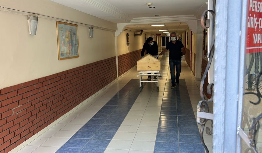 Tokat'ta Kene Can Aldı!