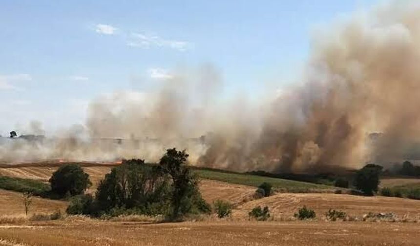 Biga’da tarım arazisinde yangın: Kara yolu ulaşıma kapatıldı